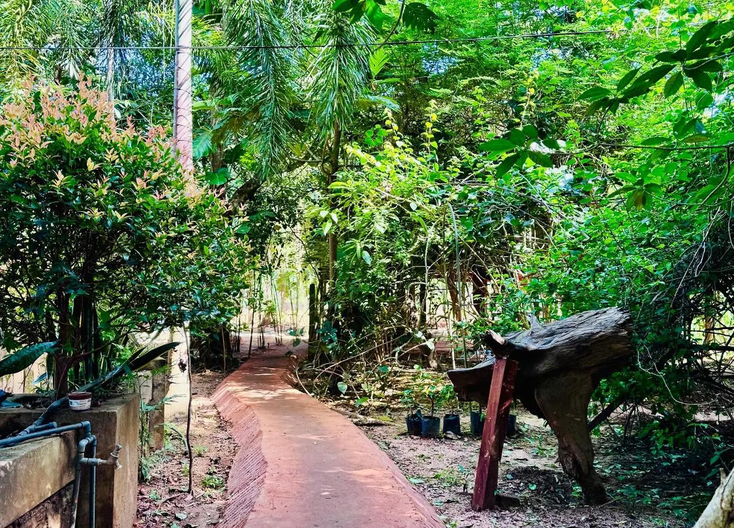 Woodland Sanctuary Hotel Habarana