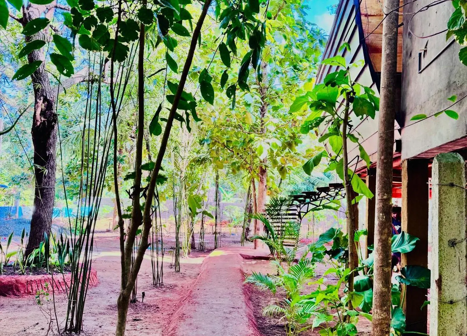 Woodland Sanctuary Hotel Habarana Sri Lanka