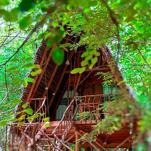 Tree House Ambasewana *** Habarana